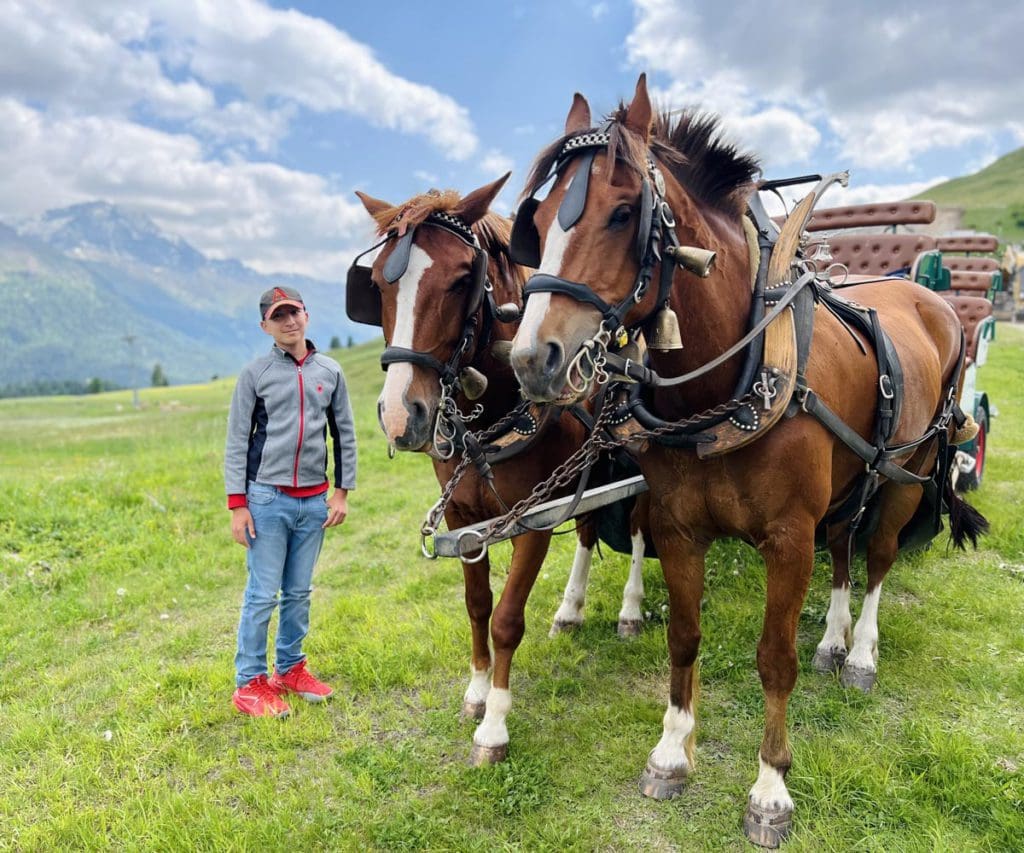 A young boy stands next to large horses, prepared to pull a carriage through the Engadine Valley.