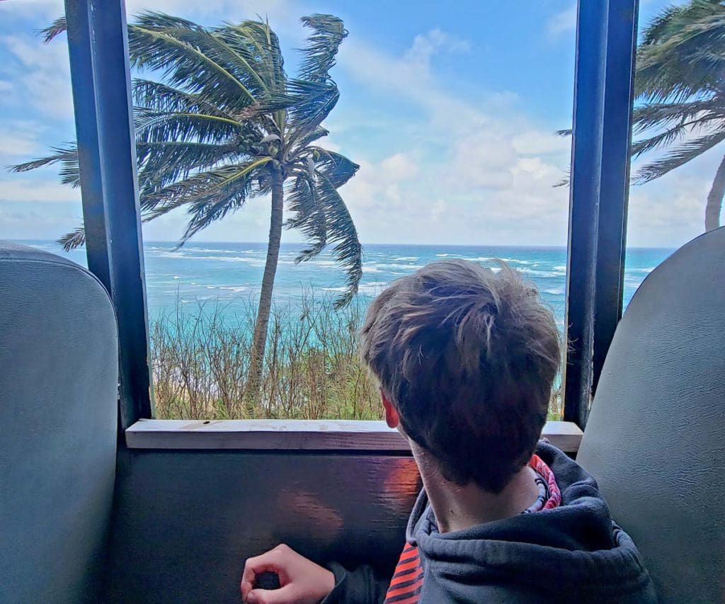A young boy looks out the window onto a scenic Hawaiian view.