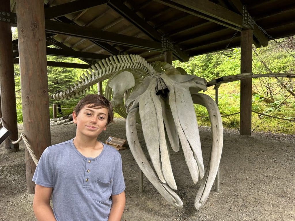 A young boy stands next to a whale skeleton in Alaska.