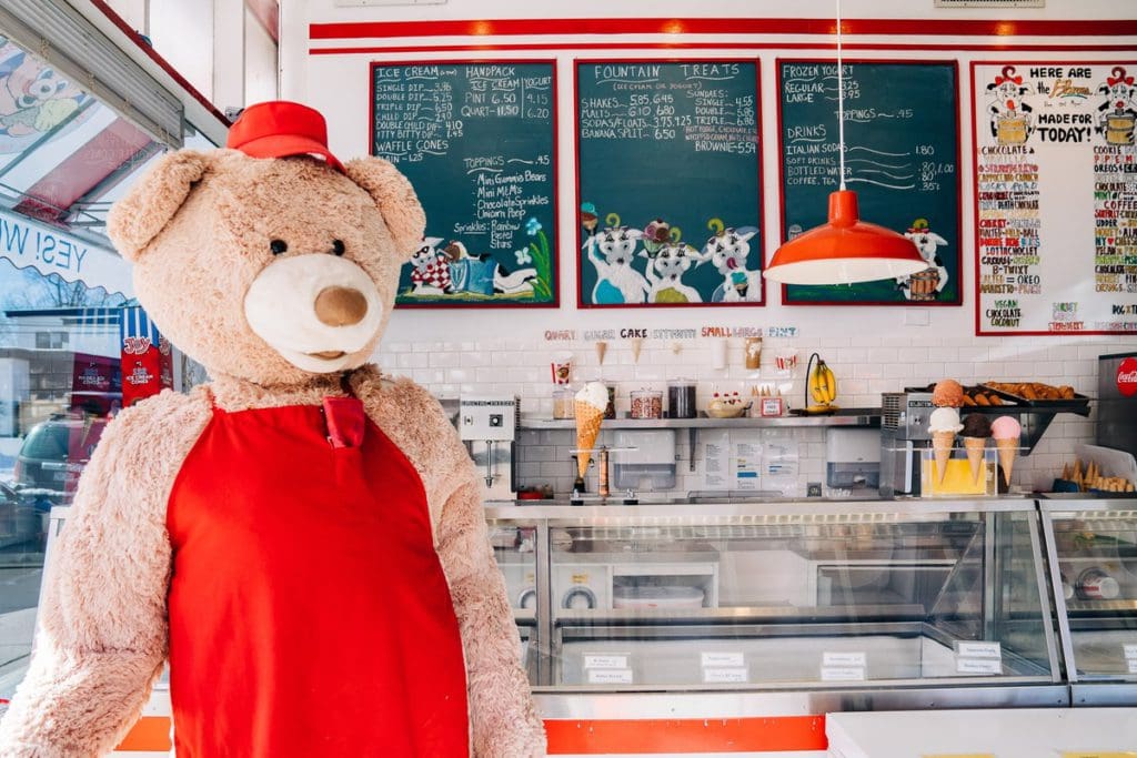 A large teddy bear greets guests at the bakery case for Bonnie Brae Ice Cream.