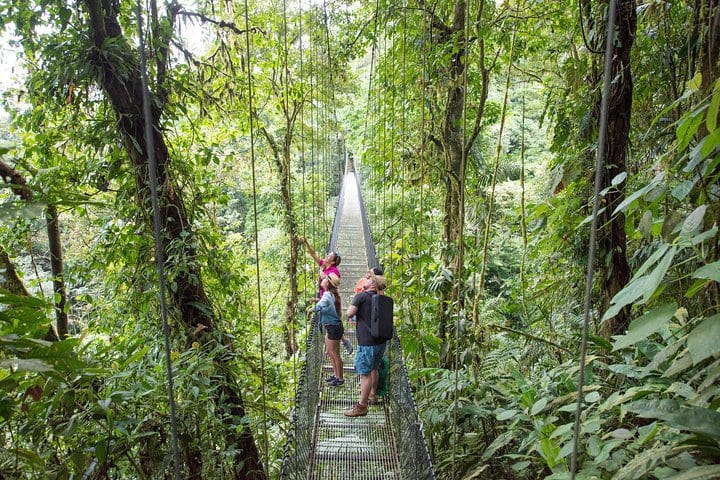 A family exploring the jungle on a swing bridge on the Hanging Bridges, La Fortuna Waterfall, and Arenal Volcano Hike tour.