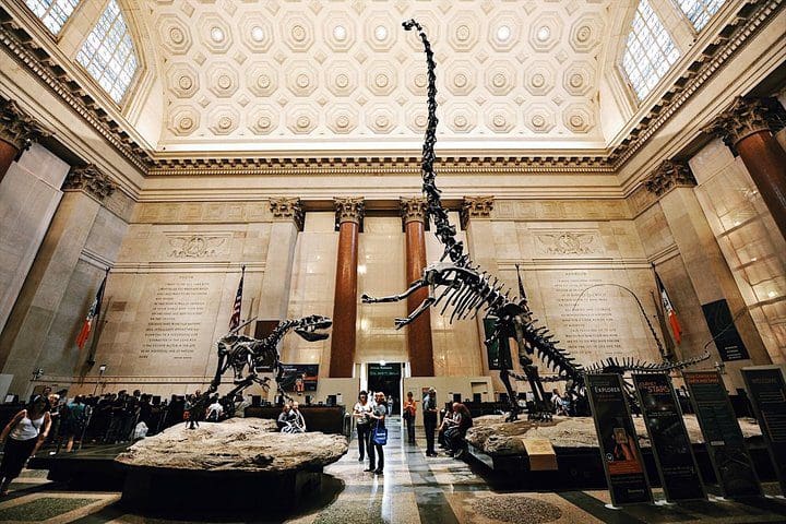 A dinosaur skeleton in the Natural History Museum, as seen on the Met & Natural History Museum Skip-The-Line – Exclusive Combo Tour.