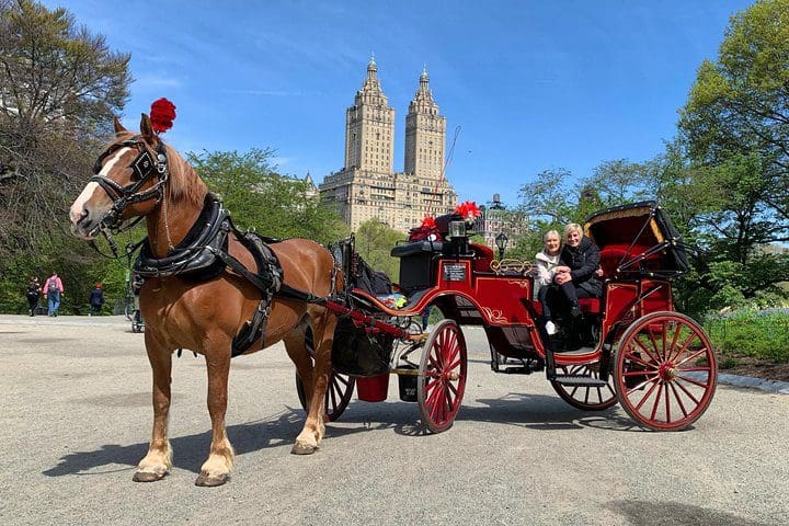 A horse-drawn carriage stands proudly in Central Park, awaiting guests on the Official NYC Horse Carriage Rides in Central Park.