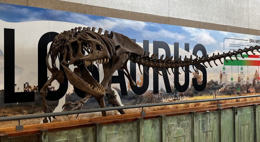 A dinosaur skeleton on display in an exhibit at a The Discovery museum, one of the best things to do while on a ski vacation to Lake Tahoe with kids.