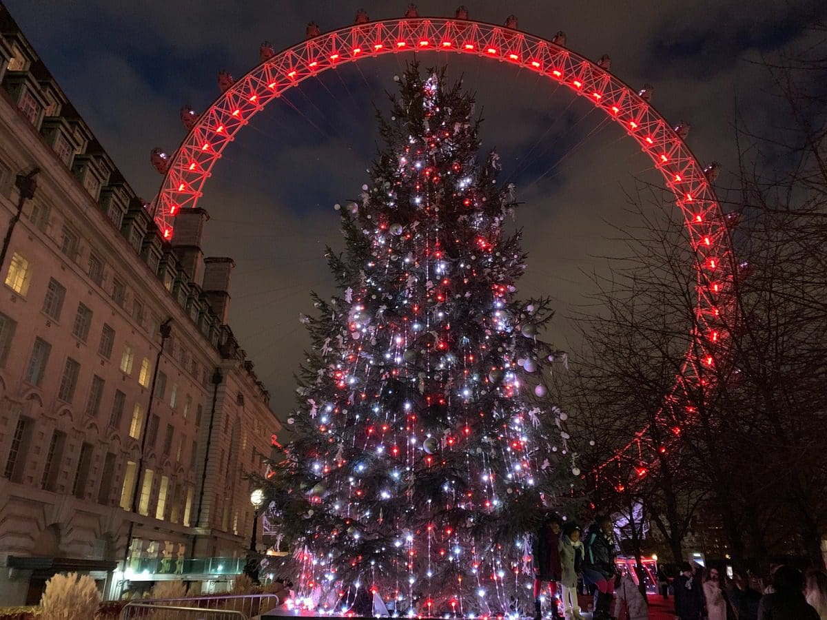 A Christmas tree is lit up at night in front of the London Eye in London, one of the best places for Christmas for families in the world.