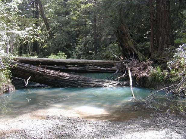 A swimming hole in Jackson Forest in Mendocino.