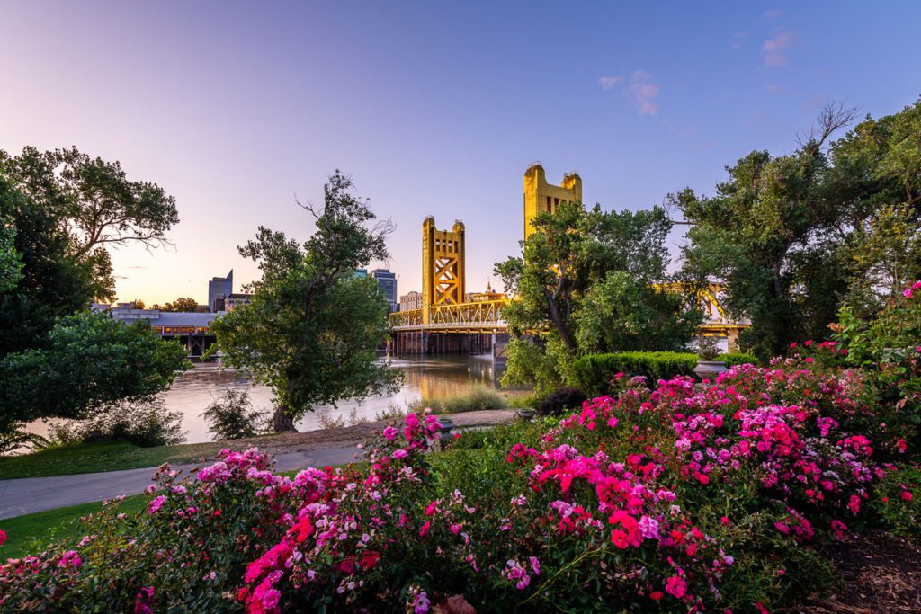 A view of a bridge in Sacramento surrounded by beautiful blooming flowers. 