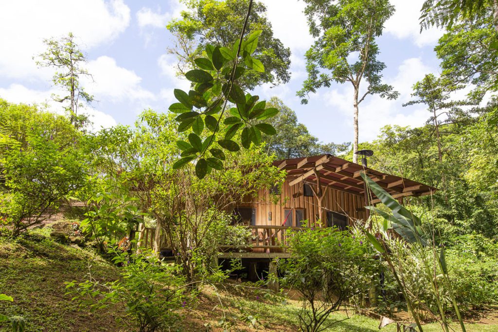 A view of a rustic lodge at La Carolina Lodge, surrounded by greenery.