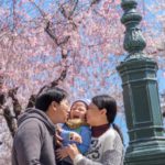 A family under the cherry blossoms in Osaka, Japan.